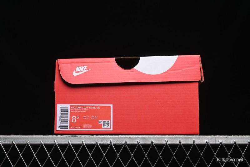 Nike Dunk Low SB Casual Sneakers in Phantom/Khaki - FJ4188-001