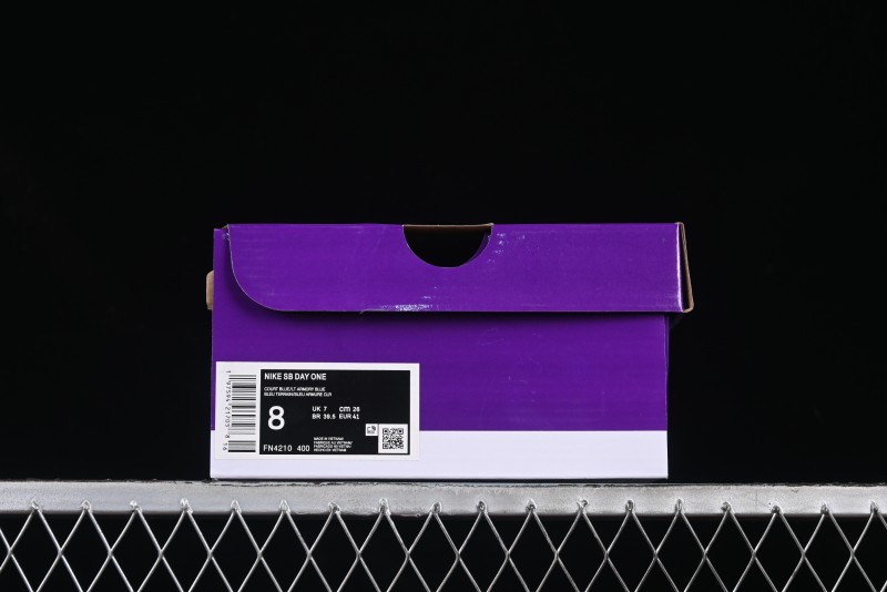 Nike SB Day One Low Top Casual Skate Shoes with Air Zoom Cushion - FN4210-400
