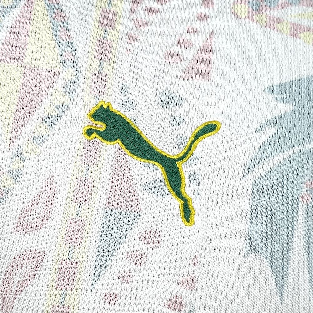 2026/27 Mens Senegal Home Jersey