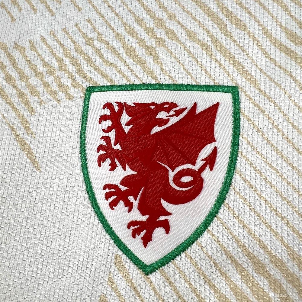 2026 Mens Wales World Cup Away Jersey