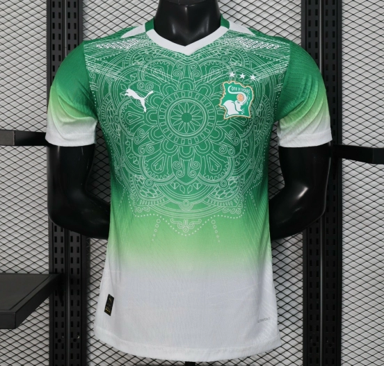 2026 Player Version Ivory Coast Special Edition Green Jersey